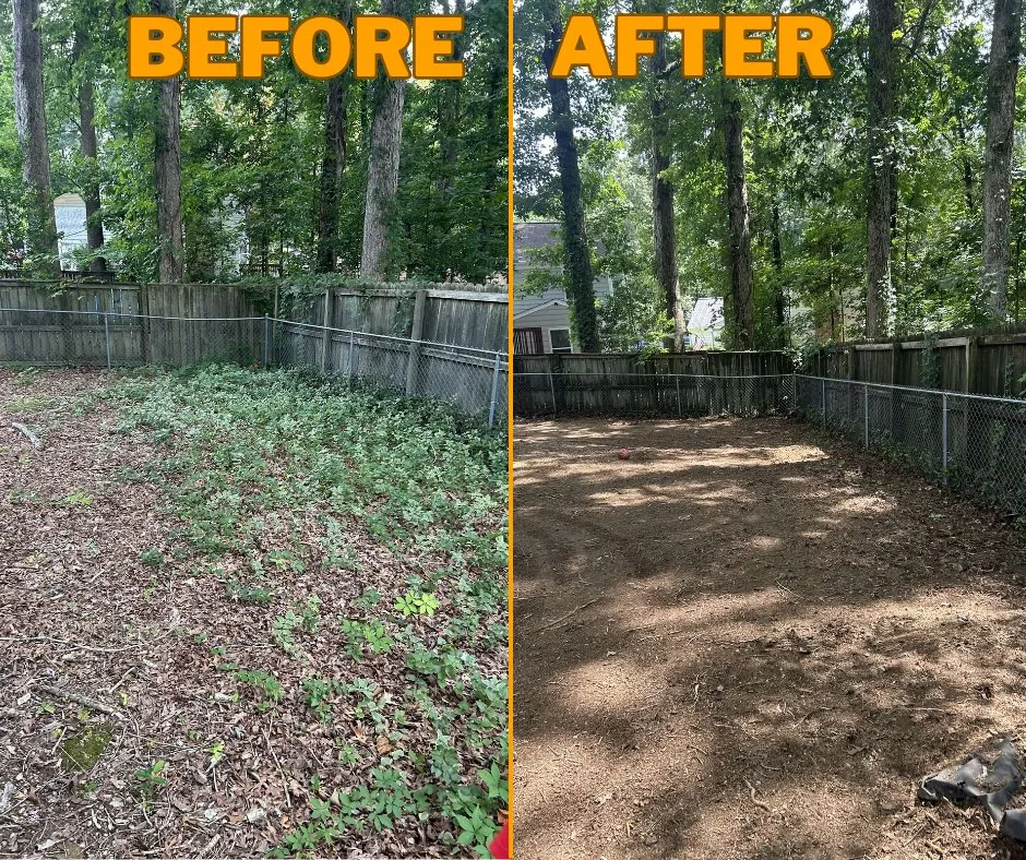 Expert landscape design with custom design in Raleigh, NC by GreenSweep Solutions