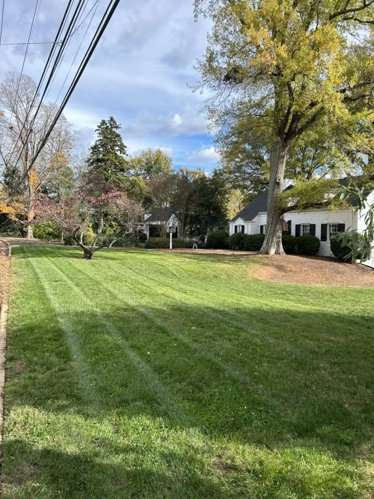 Custom landscape installation experts serving Raleigh, NC - GreenSweep Solutions