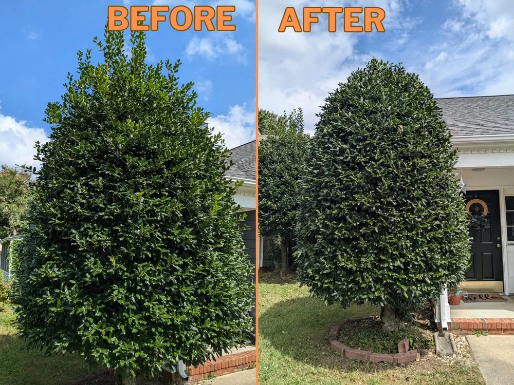 Top-rated landscaping services in Raleigh, NC - GreenSweep Solutions