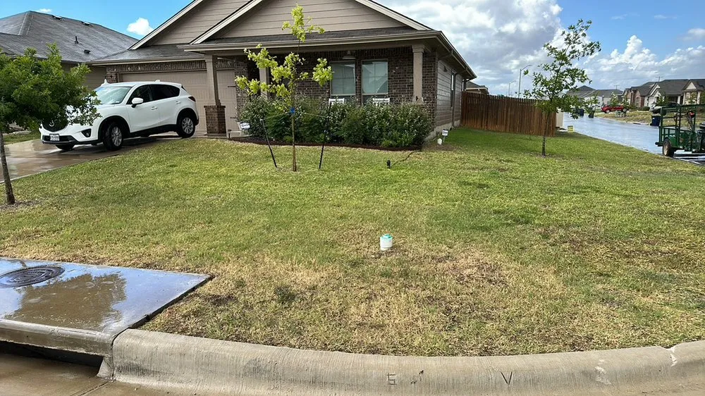 Trusted lawn care service experts serving Bartlett, TX - GreenTeam Landscaping