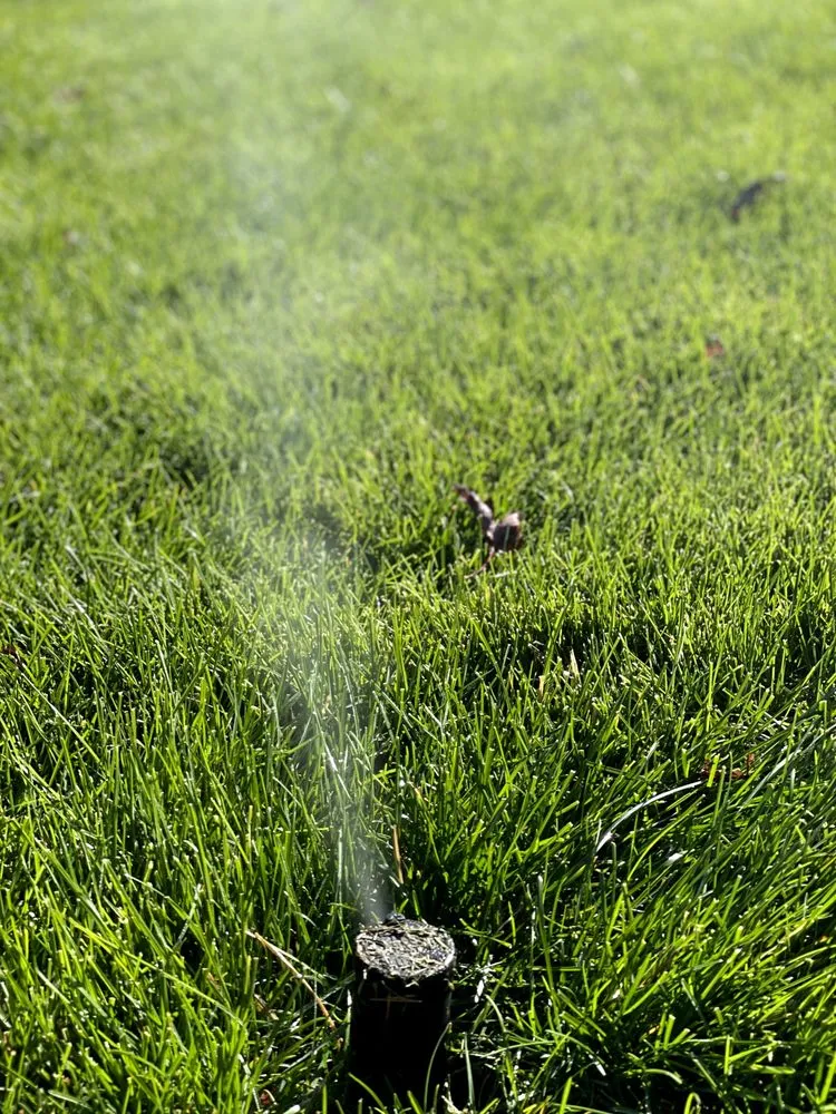 Affordable garden landscaping for year-round maintenance in Elk River, MN by GreenTech