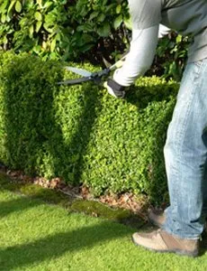 Custom landscape design in Elk River, MN - GreenTech