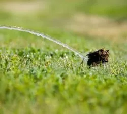 Local residential landscaping experts serving Bruceville, TX - Greentech Irrigation and Design