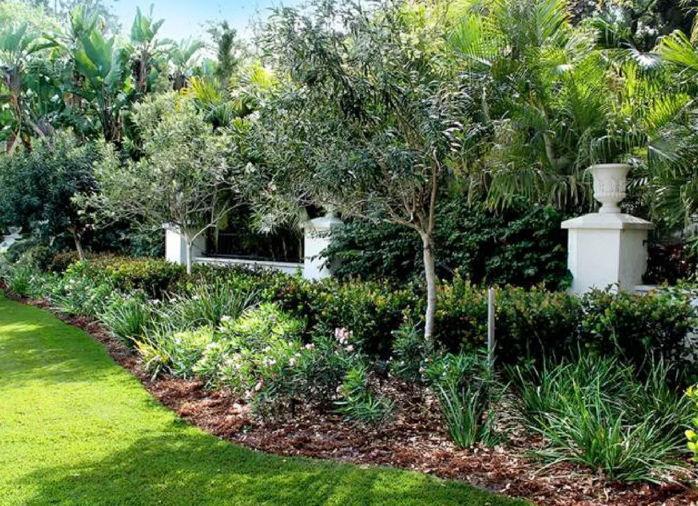 Top-rated outdoor landscaping near you in Sarasota, FL by GreenTech Landscape Management