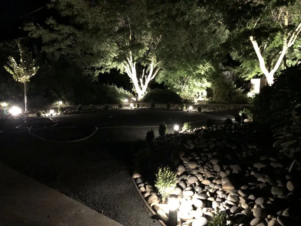 Professional lawn care service for year-round maintenance in Walnut Creek, CA by GreenTech Landscape Plus