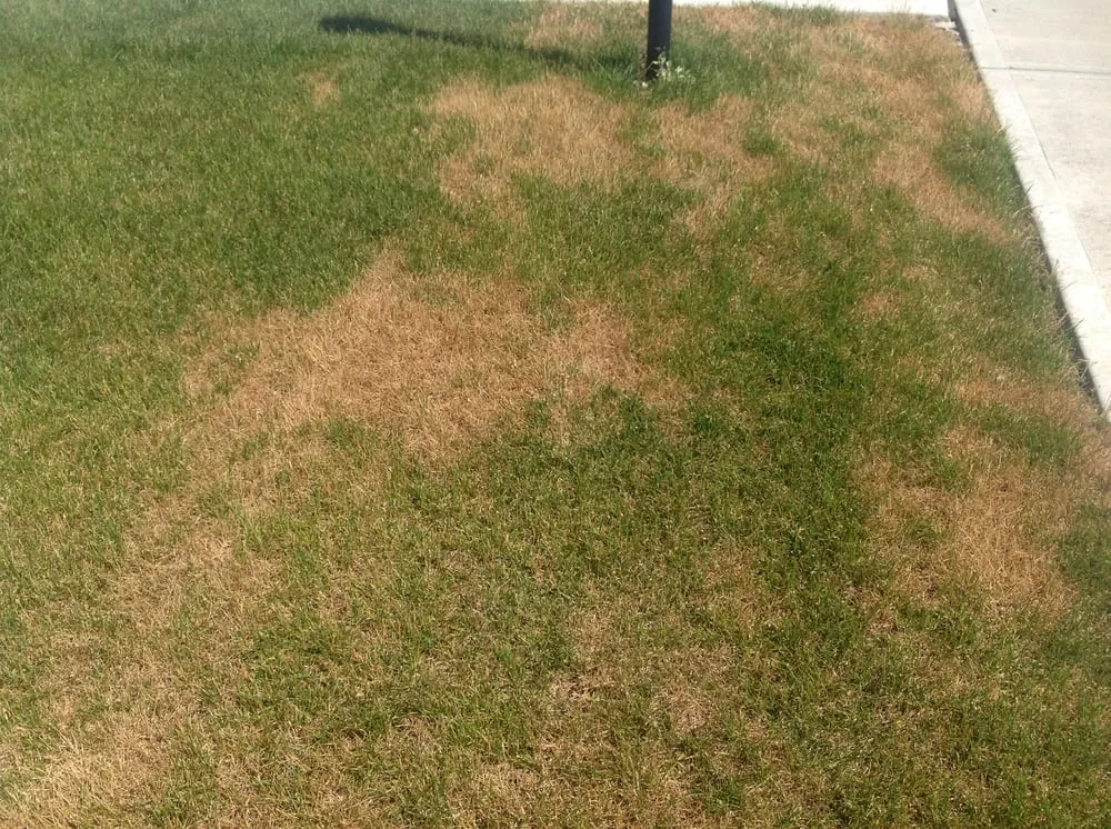 Top-rated outdoor landscaping near you in Troy, OH by Greentech Lawn and Irrigation