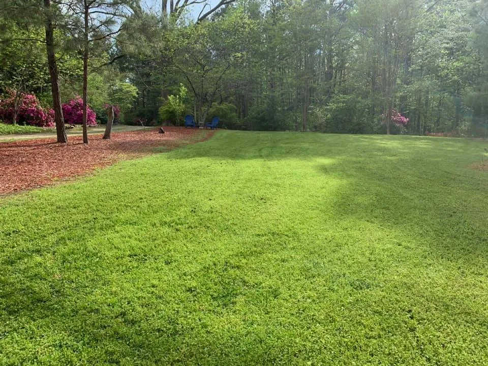 Local yard cleanup service for homes in Williamson, GA by GreenTech Lawn Solutions