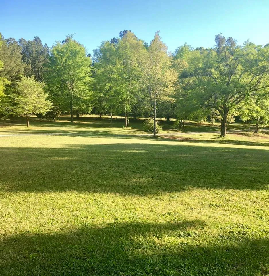 Reliable residential landscaping for homes across Williamson, GA - GreenTech Lawn Solutions