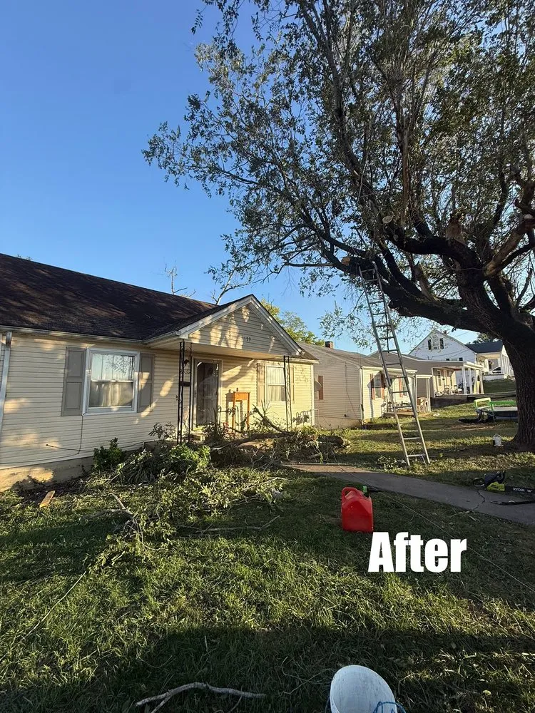 Trusted landscaping services for outdoor upgrades in Willisburg, KY by GreenTech Lawncare and Landscaping
