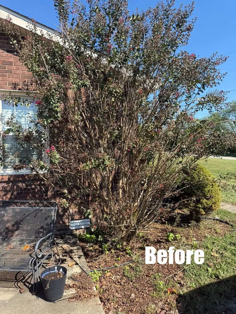 Trusted outdoor landscaping for homes across Willisburg, KY - GreenTech Lawncare and Landscaping