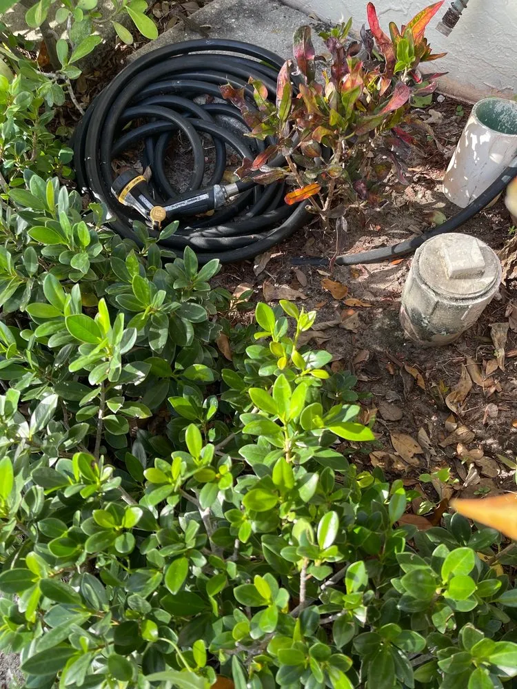 Professional garden landscaping experts serving Lake Worth, FL - Greentech Pest & Fertilization