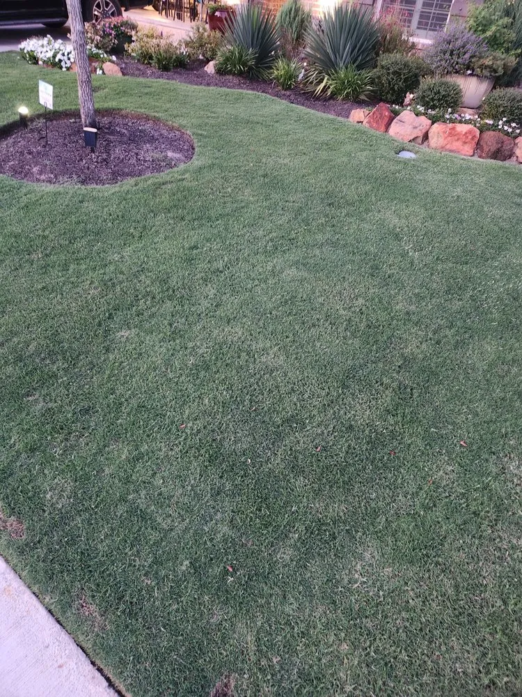 Reliable lawn mowing service in Prosper, TX by Greentex Lawns