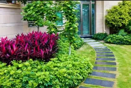 Expert yard cleanup service in Houston, TX by Greenthings Artistic Landscape & Design