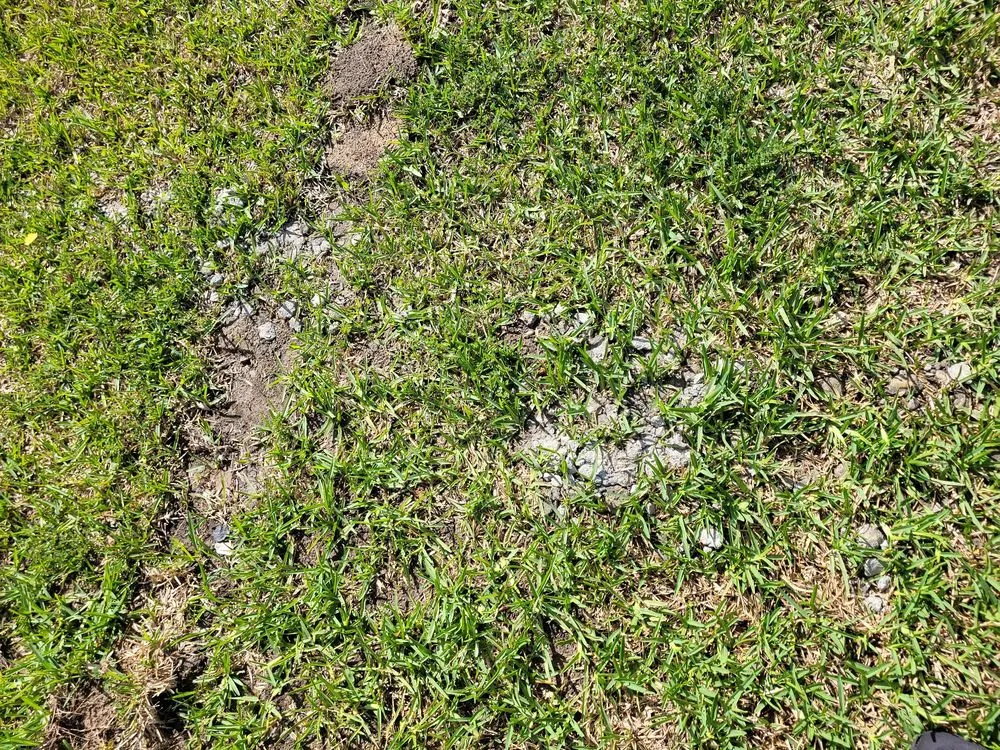 Reliable outdoor landscaping in Houston, TX by Greenthings Artistic Landscape & Design