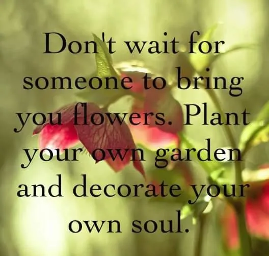 Trusted outdoor landscaping experts serving Houston, TX - Greenthings Artistic Landscape & Design