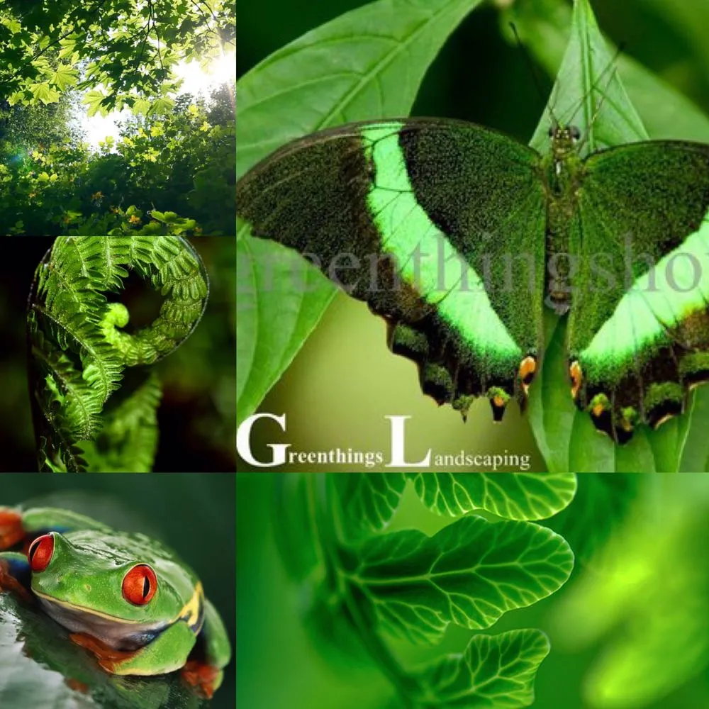 Custom garden landscaping for homes across Houston, TX - Greenthings Artistic Landscape & Design