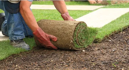 Expert garden landscaping experts serving Kingston, WA - GreenThumb Hydroseeding