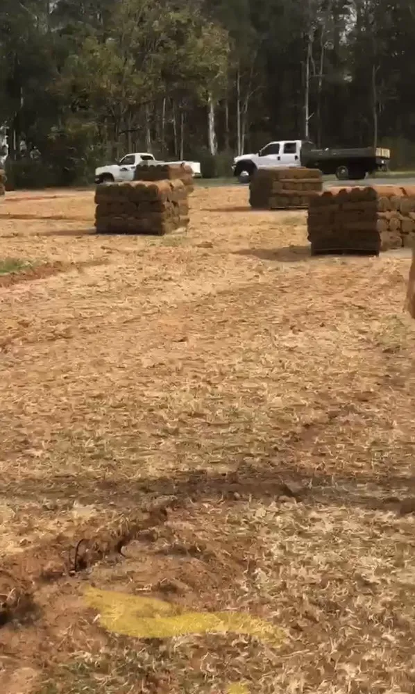 Trusted yard cleanup service for residential properties across Connelly Springs, NC - GreenThumb Landscapes