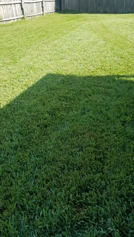 Local lawn mowing service in Houston, TX by Greenthumb Lawn and Pest Services