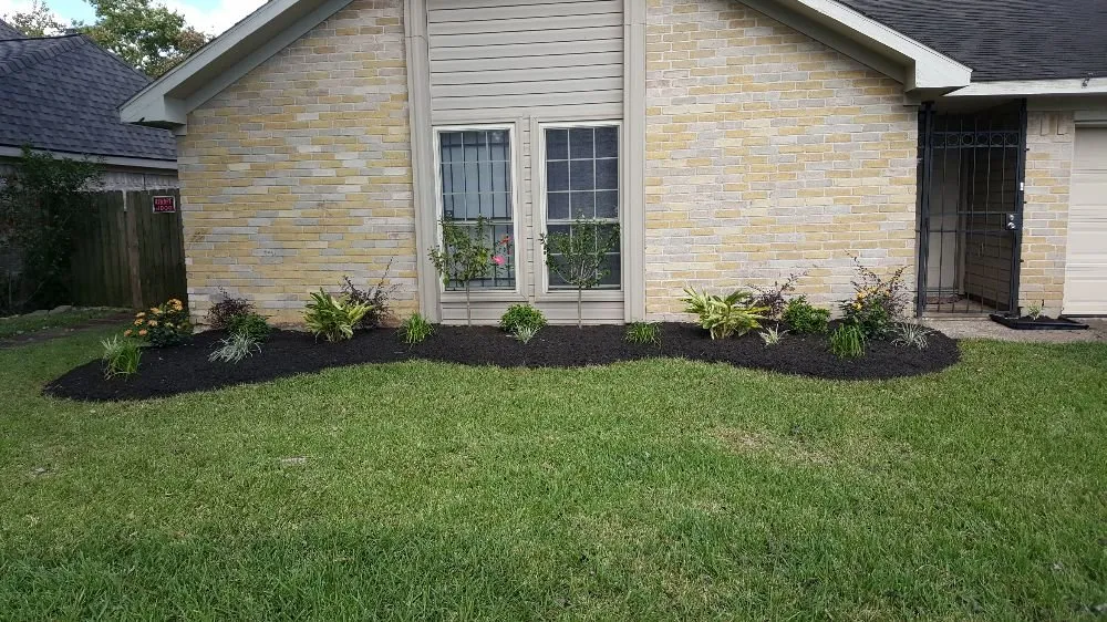 Local yard maintenance experts serving Houston, TX - Greenthumb Lawn and Pest Services