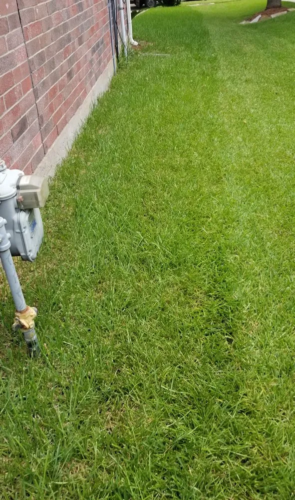 Professional landscaping services in Houston, TX by Greenthumb Lawn and Pest Services