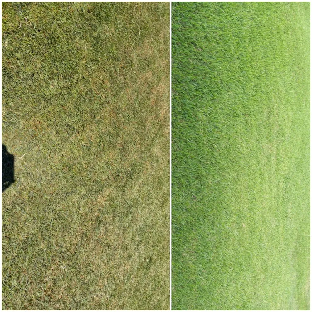 Expert garden landscaping experts serving Houston, TX - Greenthumb Lawn and Pest Services