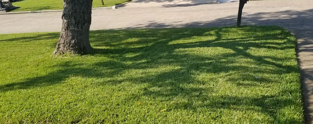 Expert landscape installation in Houston, TX by Greenthumb Lawn and Pest Services