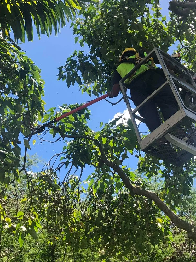 Reliable lawn care service in Kurtistown, HI by GreenThumb Lawn Care