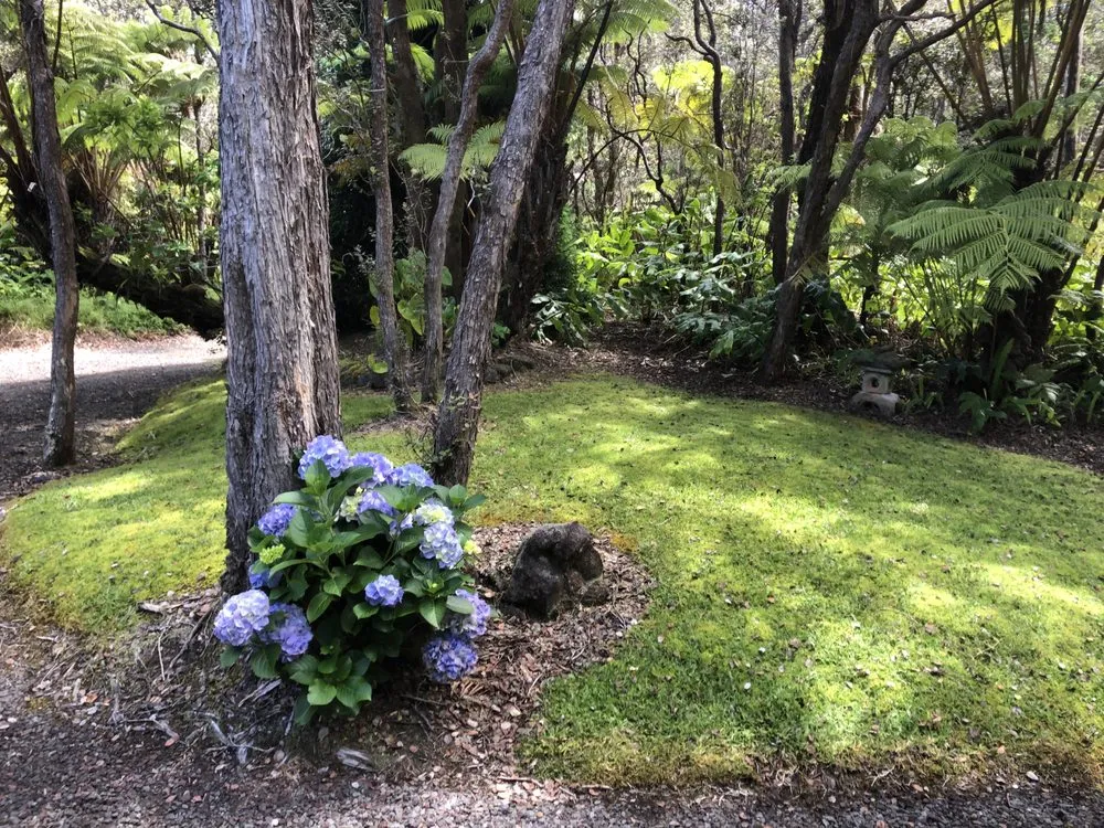 Top-rated lawn care service experts serving Kurtistown, HI - GreenThumb Lawn Care