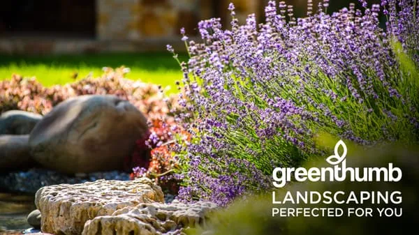 Greenthumb Lawn Landscaping