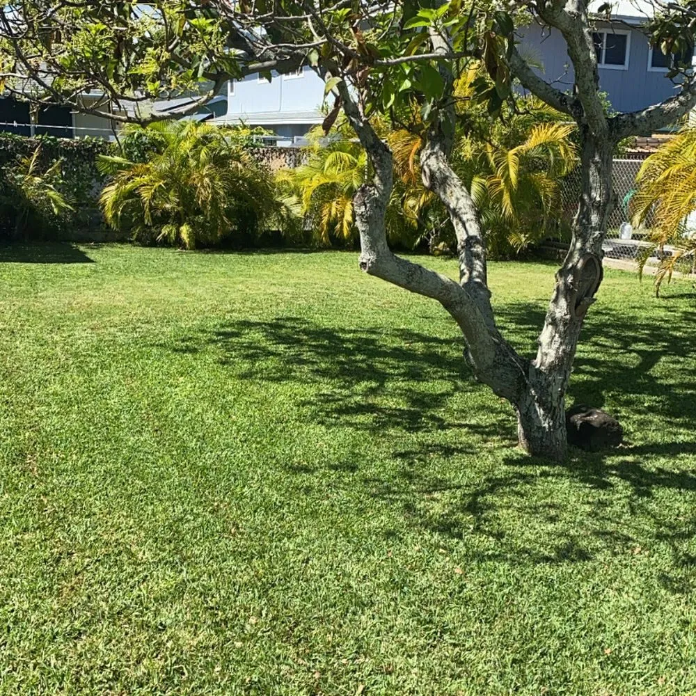 Professional yard cleanup service for outdoor upgrades across Kapaa, HI - Greenthumb Lawns