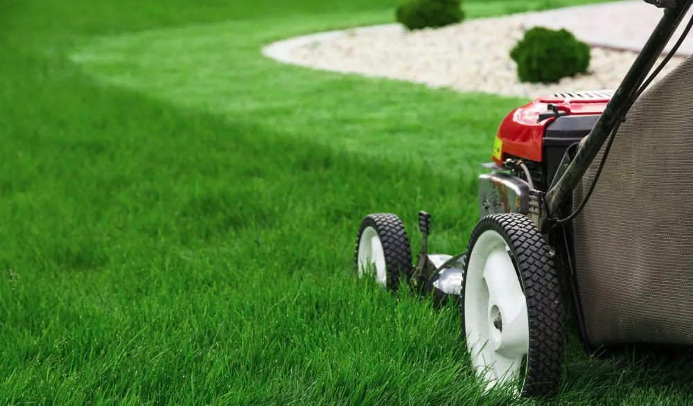 Local landscaping services in Kapaa, HI by Greenthumb Lawns