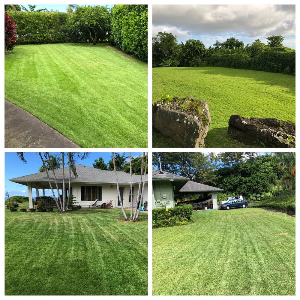 Affordable yard maintenance for beautiful yards in Kailua Kona, HI by GreenThumbKnowledge