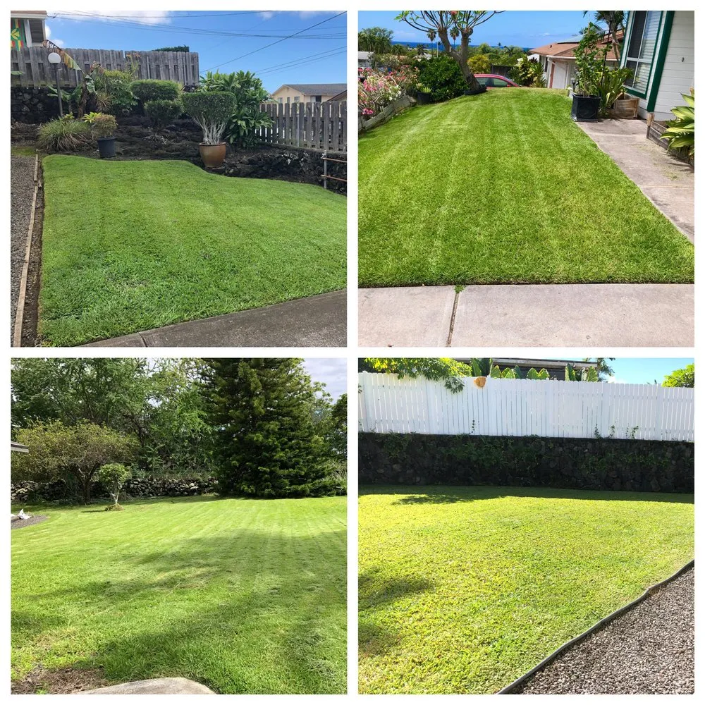 Affordable landscaping services for residential properties in Kailua Kona, HI by GreenThumbKnowledge