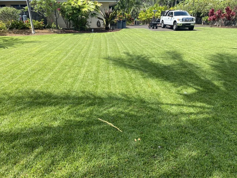 Custom lawn care service experts serving Kailua Kona, HI - GreenThumbKnowledge