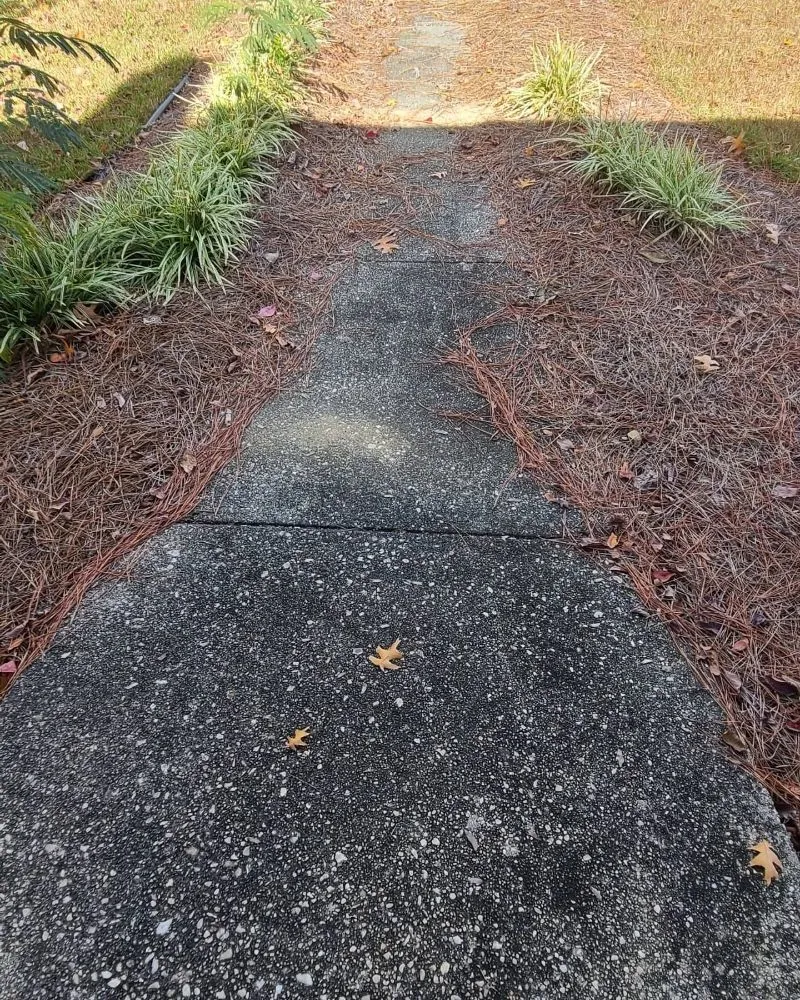 Professional lawn care service in Clinton, NC by GreenTouch landscapes