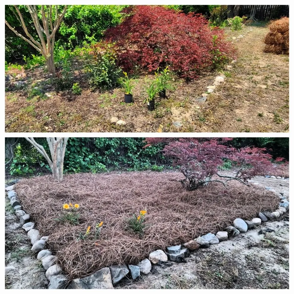 Expert lawn care service for homes across Clinton, NC - GreenTouch landscapes