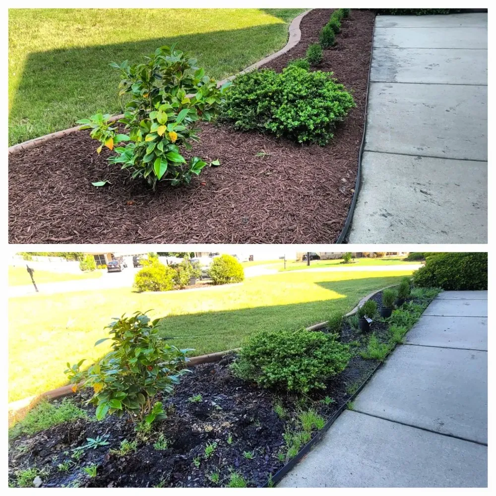 Affordable lawn care service for year-round maintenance in Clinton, NC by GreenTouch landscapes