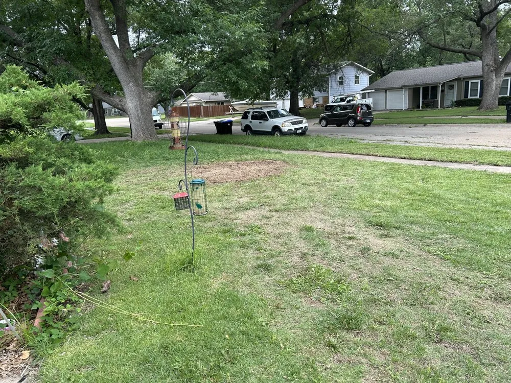 Expert lawn care service experts serving Topeka, KS - Greentouch Lawn & Tree