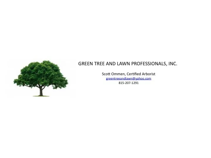 Affordable landscape installation for beautiful yards across Crystal Lake, IL - Greentree & Lawn Professional