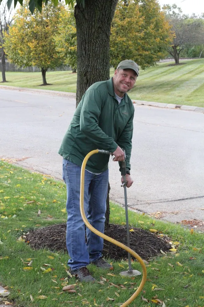 Affordable outdoor landscaping in Crystal Lake, IL by Greentree & Lawn Professional