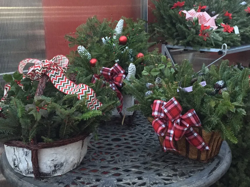 Expert yard cleanup service for outdoor upgrades across Manahawkin, NJ - Greentree Garden Center & Landscaping