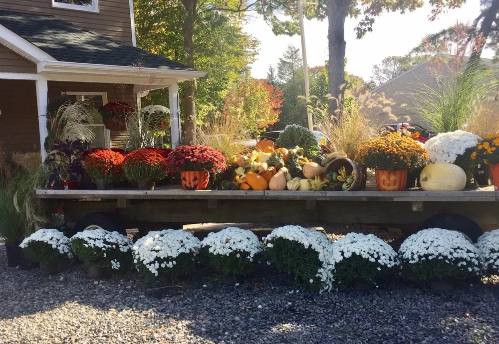 Reliable lawn care service for beautiful yards across Manahawkin, NJ - Greentree Garden Center & Landscaping