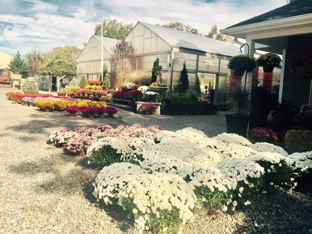 Expert yard maintenance in Manahawkin, NJ by Greentree Garden Center & Landscaping