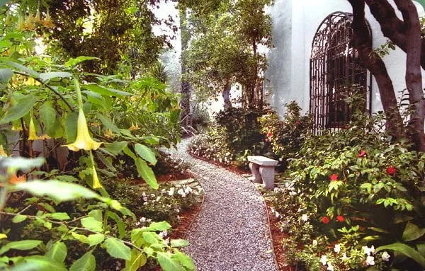 Affordable lawn care service experts serving Los Angeles, CA - GreenTree Landscaping