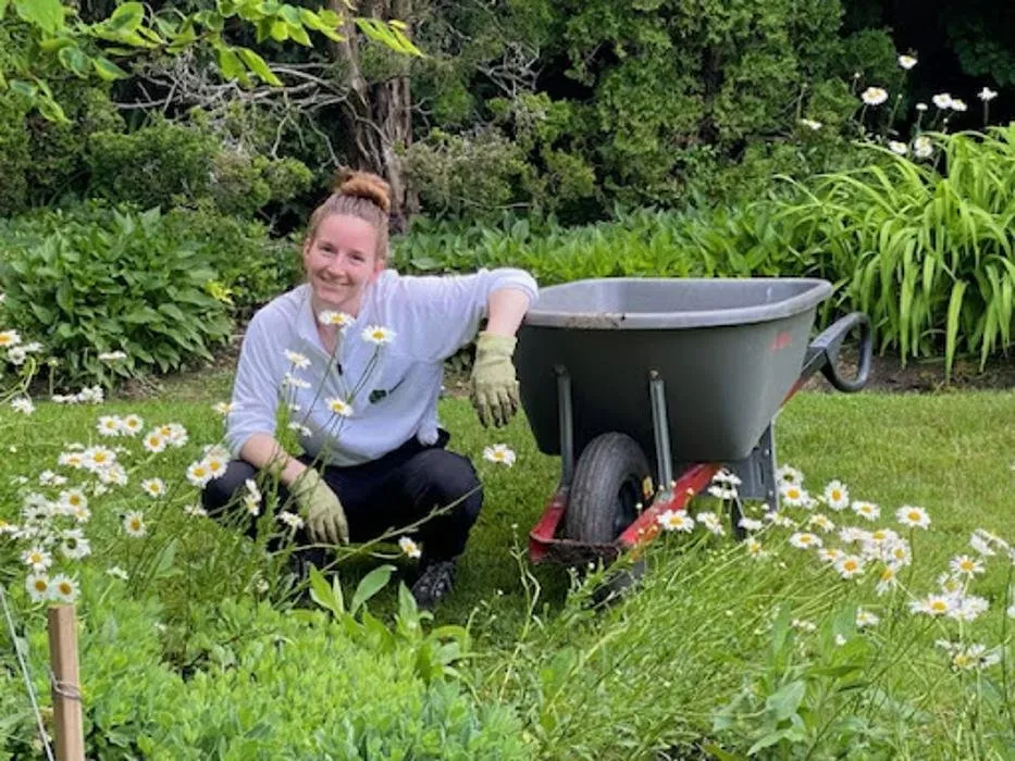 Reliable landscape design for homes in Rochester Hills, MI by Greentrees