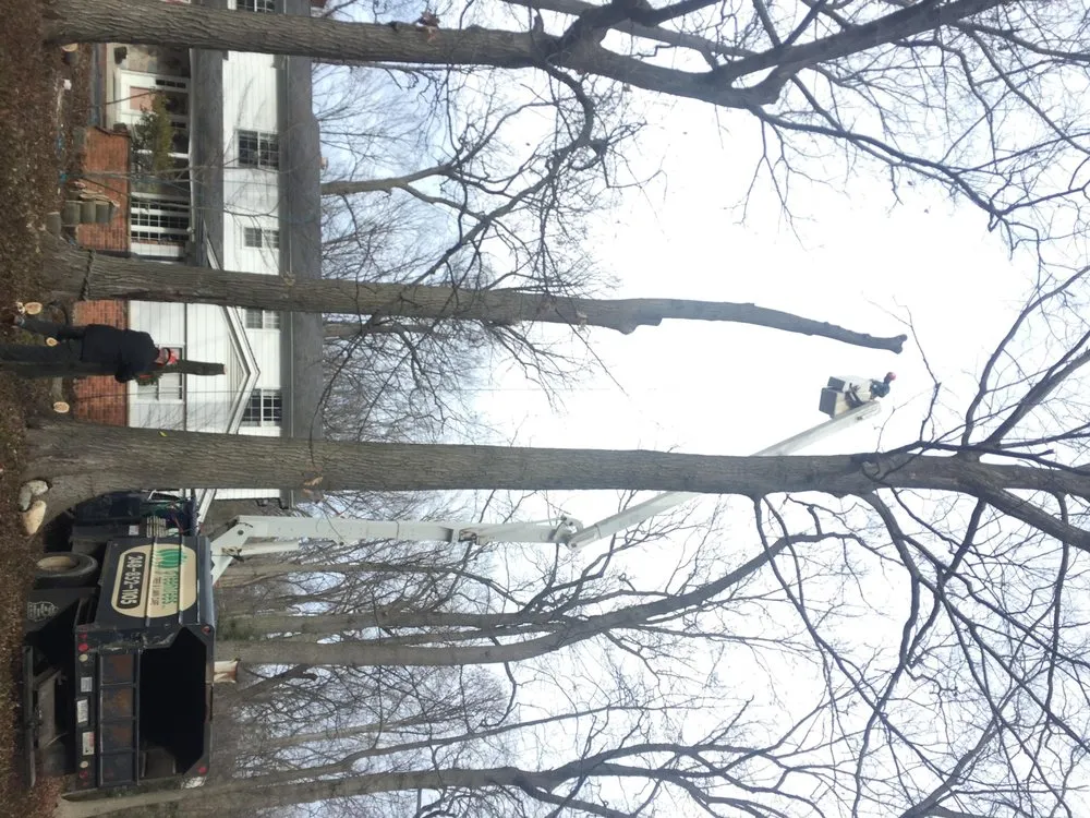 Reliable garden landscaping experts serving Rochester Hills, MI - Greentrees