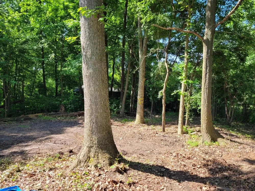 Top-rated landscape installation in Rochester Hills, MI - Greentrees