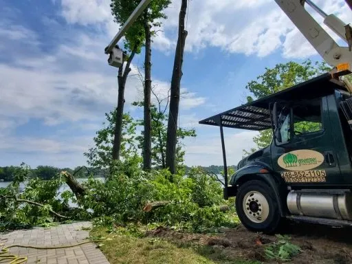 Reliable outdoor landscaping experts serving Rochester Hills, MI - Greentrees