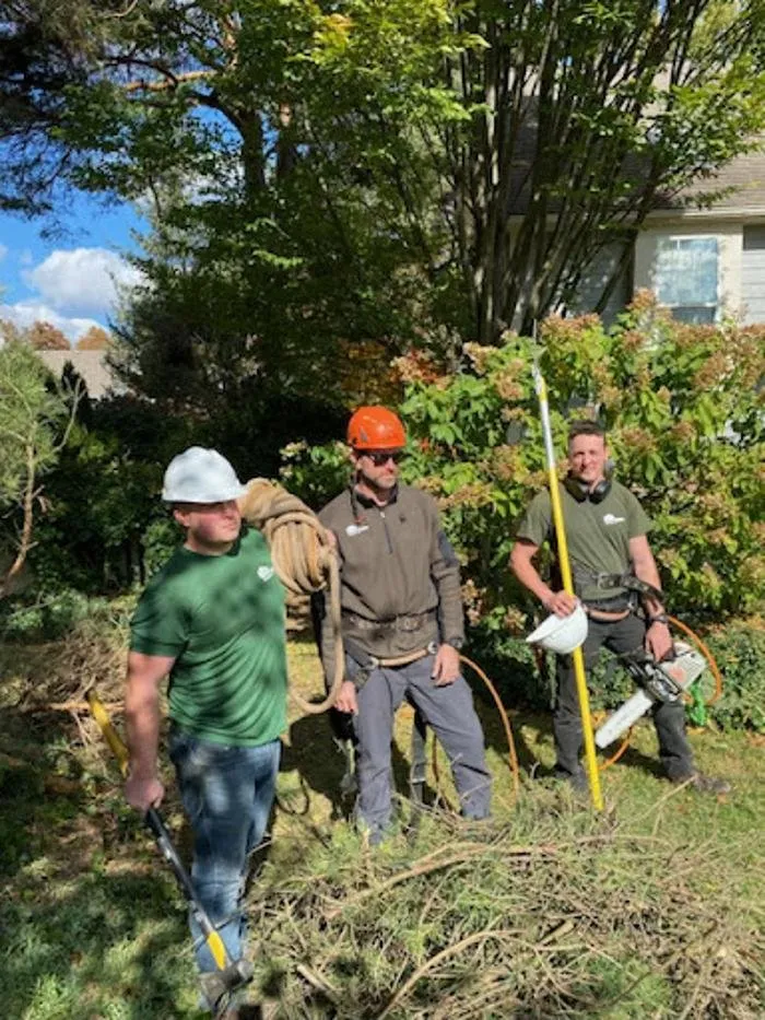 Top-rated yard maintenance for year-round maintenance in Rochester Hills, MI by Greentrees